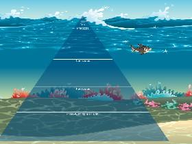 Ecological Pyramid 1