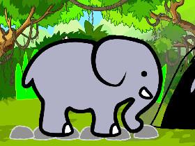 Elephant run dude