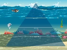 Ocean Ecological Pyramid