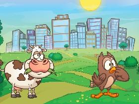 Cow owls