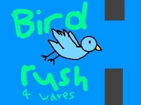 bird rush (4 waves) 1