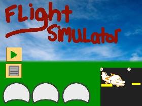 Flight Simulator  1 1