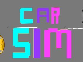 Car Sim RELEASED 1