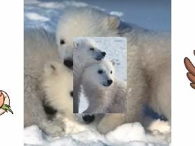 save polar bears!