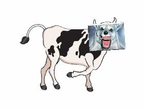 killer cow