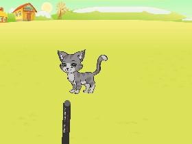 A Pet Game 2