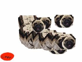 Pug spinner