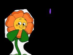 Cagney Carnation