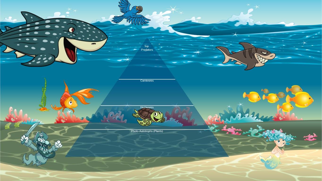 Ocean Ecological Pyramid