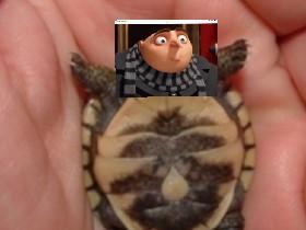 turtle gru