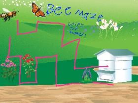 bee maze