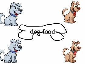 dog food