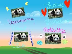 To Panda Lover 😍😍😍🐼🐼🐼