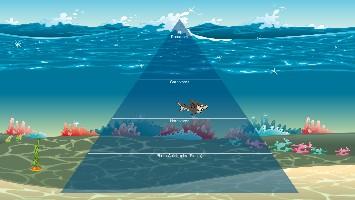 Ecological Pyramid 1