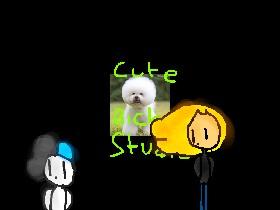 Cute Bichon Studios