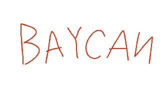 BAYCAN!---ad &gt;8]