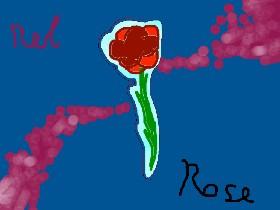 Red Rose