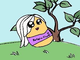 POTATO CLUB PLZ ACCEPT MEH