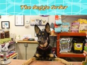 The Doggo order