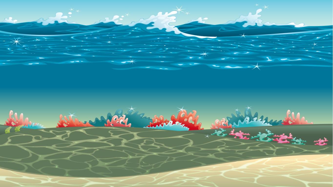 Plain Coral Reef