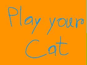 Play your Cat plizz like