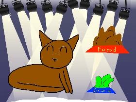 Cat Simulator