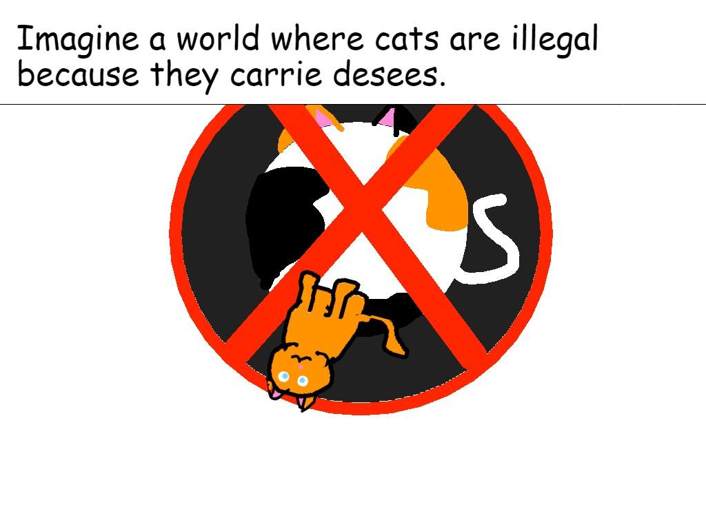 Where cats are illegal