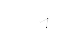 Double Pendulum