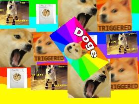 DOGE MEME 1