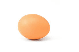 The EGG