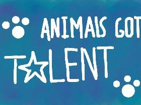 🐶Animal’s Got Talent🐶 1 1