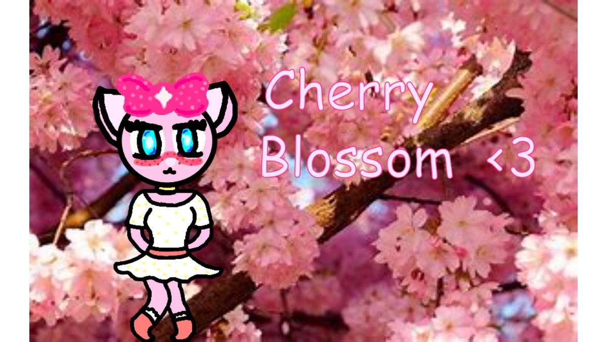 Talk w/ Cherry Blossom :3