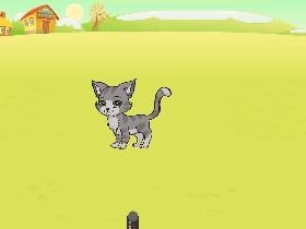 A Pet Game 1