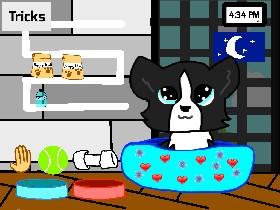 My Pet puppy (simulator) 1