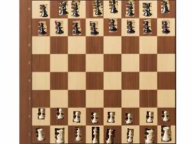 2-player pro chess game