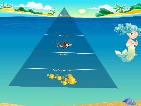 Ecological Pyramid 1 1