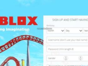 Roblox Platform