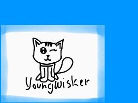 Meet Youngwhisker