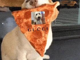 pizza dog tj