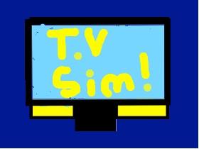 T.V Simulator! 1