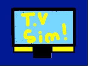 T.V Simulator! 1