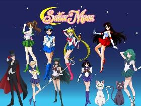 sailor moon#5