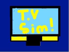 T.V Simulator! 3