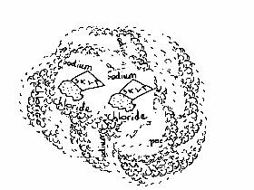 Sodium Chloride Spinner