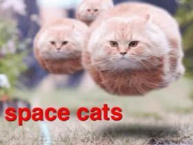 space cats