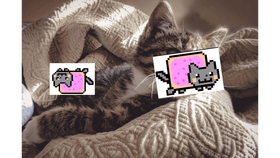 nyan cat