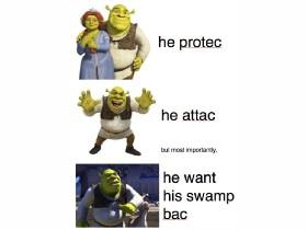 shrek memes 13