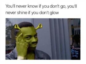 shrek memes 14