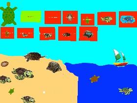 Turtle Clicker! 1 1