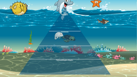 Ocean Ecological Pyramid